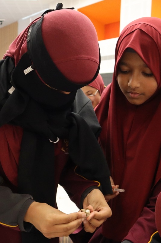 Year 5 Science Incursion: Weathering and Erosion