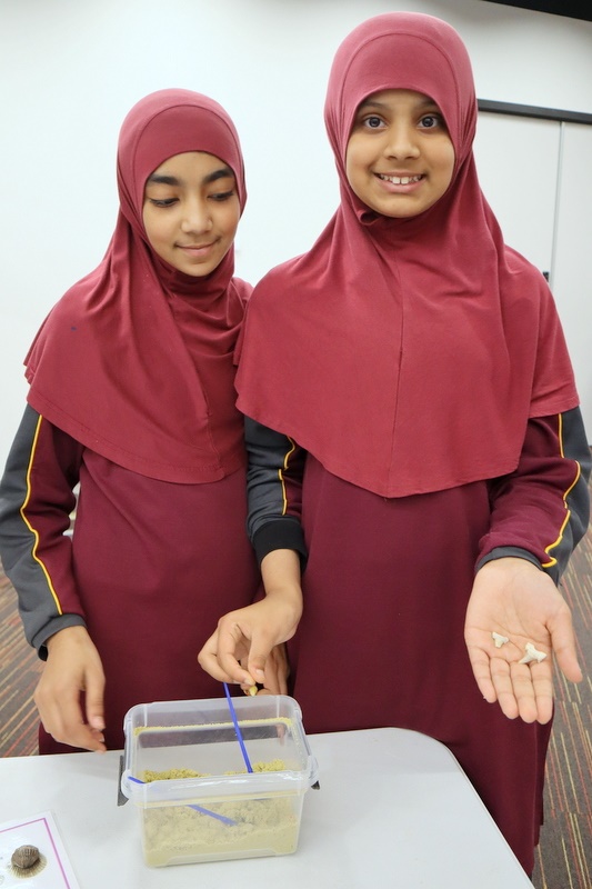 Year 5 Science Incursion: Weathering and Erosion