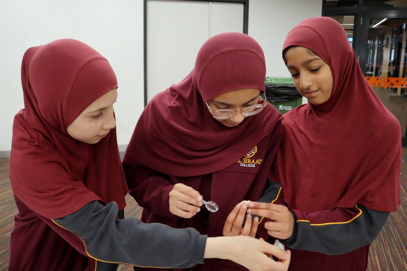 Year 5 Science Incursion: Weathering and Erosion