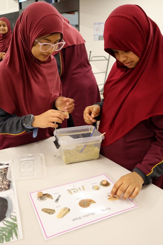 Year 5 Science Incursion: Weathering and Erosion