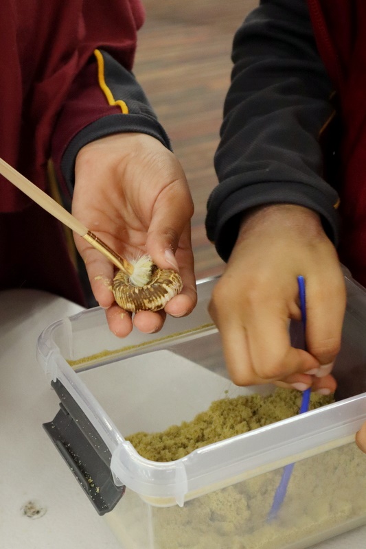 Year 5 Science Incursion: Weathering and Erosion