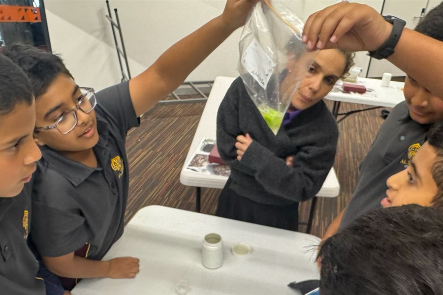 Year 5 Science Incursion: Weathering and Erosion