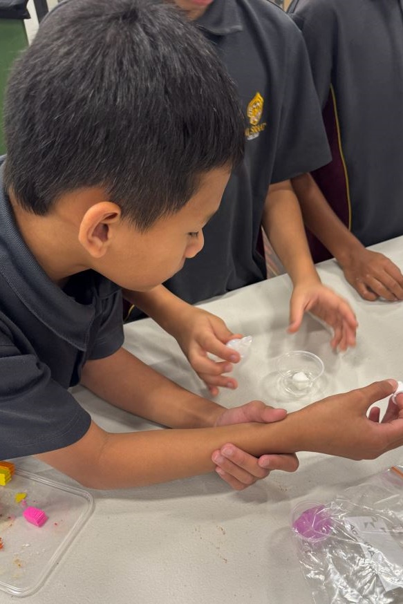 Year 5 Science Incursion: Weathering and Erosion