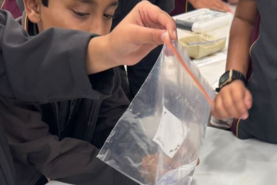 Year 5 Science Incursion: Weathering and Erosion