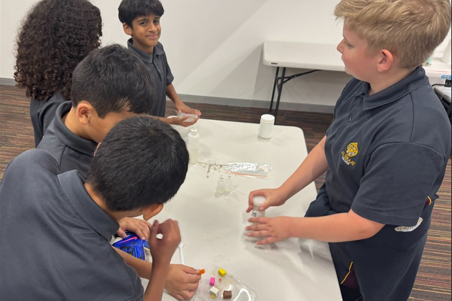 Year 5 Science Incursion: Weathering and Erosion
