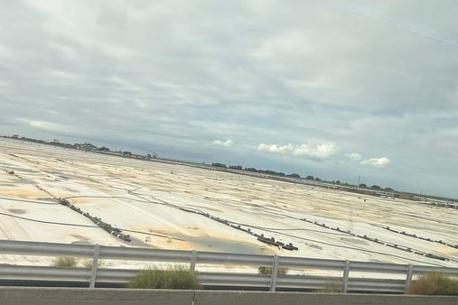 Year 4 Excursion: Western Treatment Plant