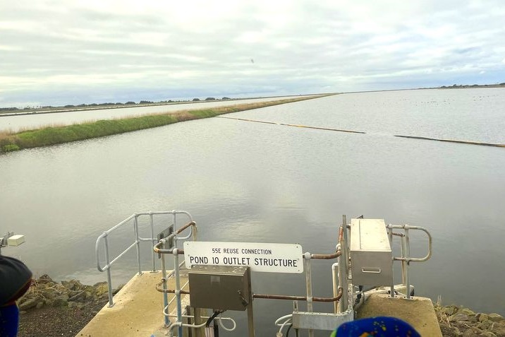 Year 4 Excursion: Western Treatment Plant