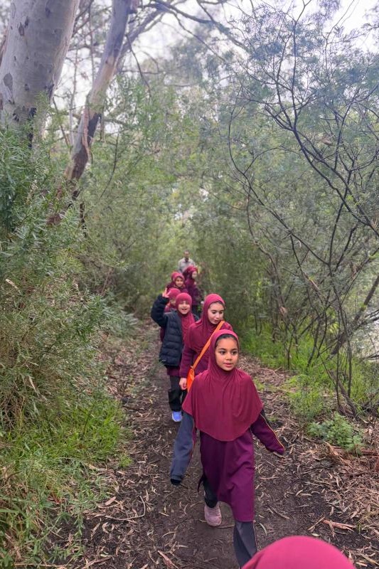 Year 3 Students Take Action Towards Zero Waste