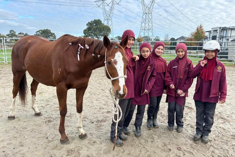 Welcome “Pandora” to our Equestrian Program