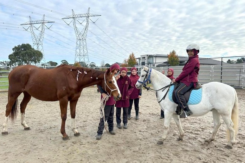 Welcome “Pandora” to our Equestrian Program