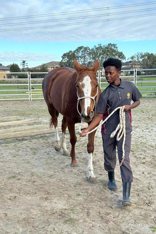 Welcome “Pandora” to our Equestrian Program