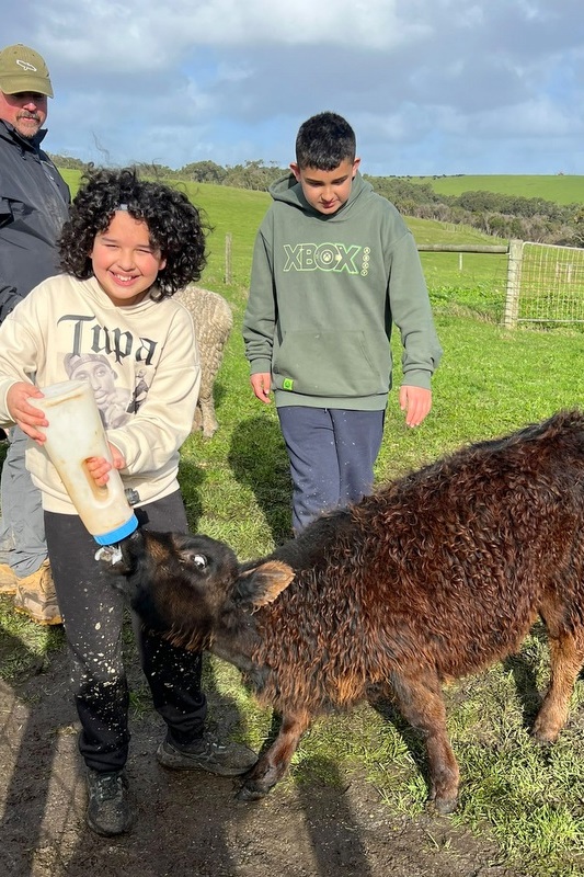 Year 5 and 6 BOYS Camp Kangaroobie 2026