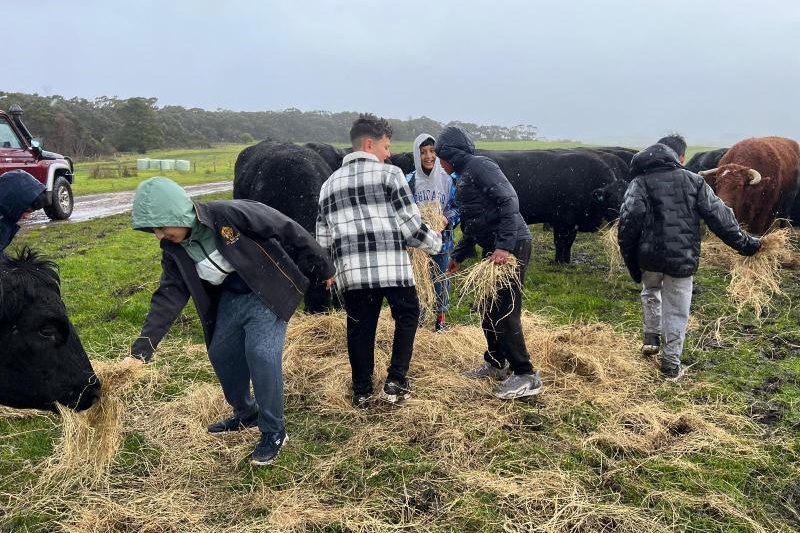 Year 5 and 6 BOYS Camp Kangaroobie 2026