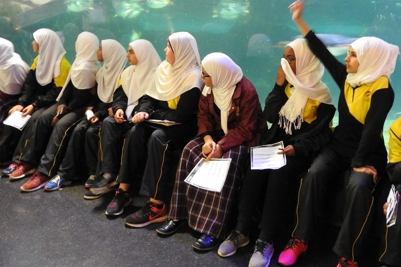 Year 7A Excursion: Melbourne Aquarium