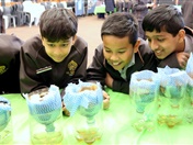 Primary Science Week: Igniting Young Innovators
