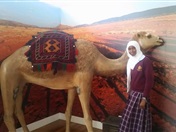 Year 7 Excursion: Islamic Museum of Australia