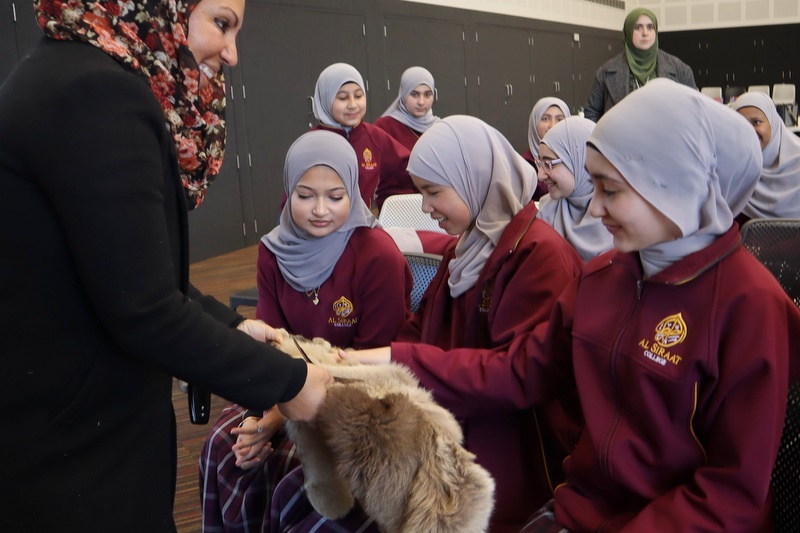 Year 7: Indigenous Artefacts & Storytelling