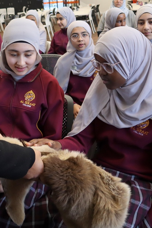 Year 7: Indigenous Artefacts & Storytelling
