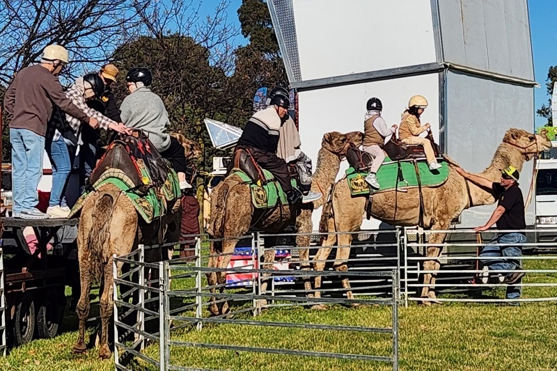 Students Shine at Major Multicultural Festival