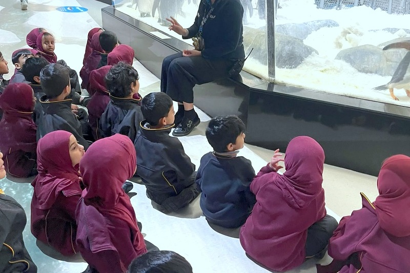 Foundation Islamic Studies Excursion: Sea Life