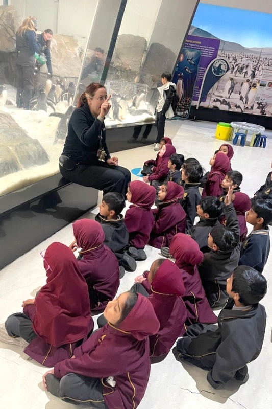 Foundation Islamic Studies Excursion: Sea Life