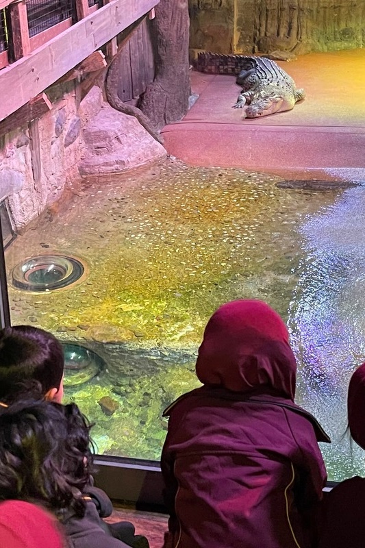 Foundation Islamic Studies Excursion: Sea Life