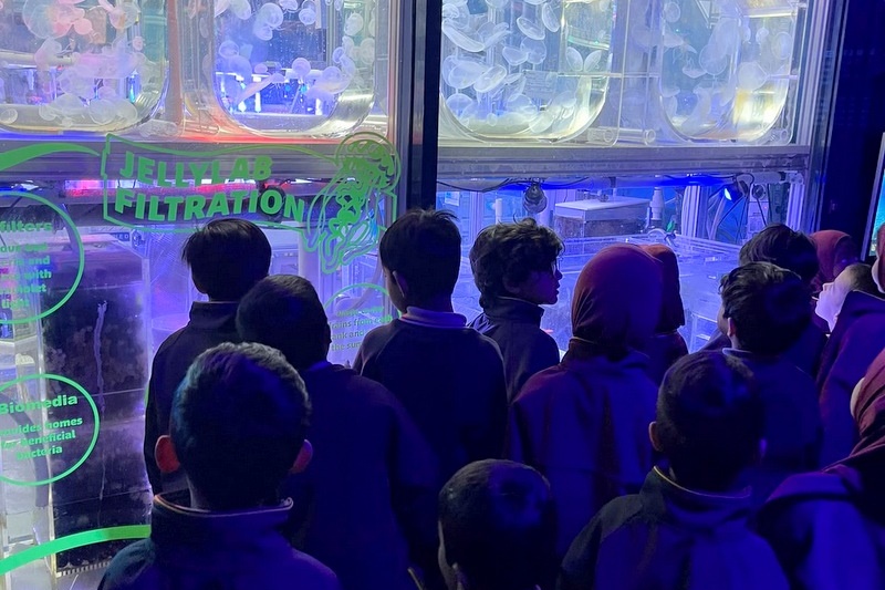Foundation Islamic Studies Excursion: Sea Life