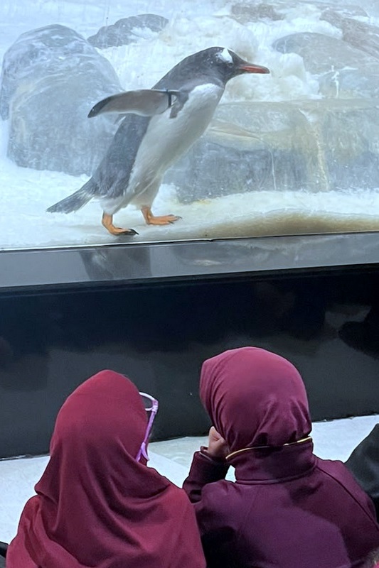 Foundation Islamic Studies Excursion: Sea Life