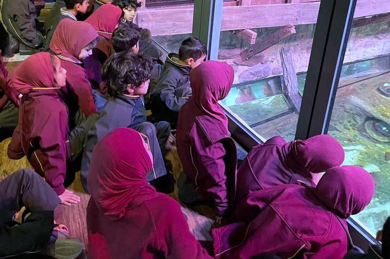 Foundation Islamic Studies Excursion: Sea Life