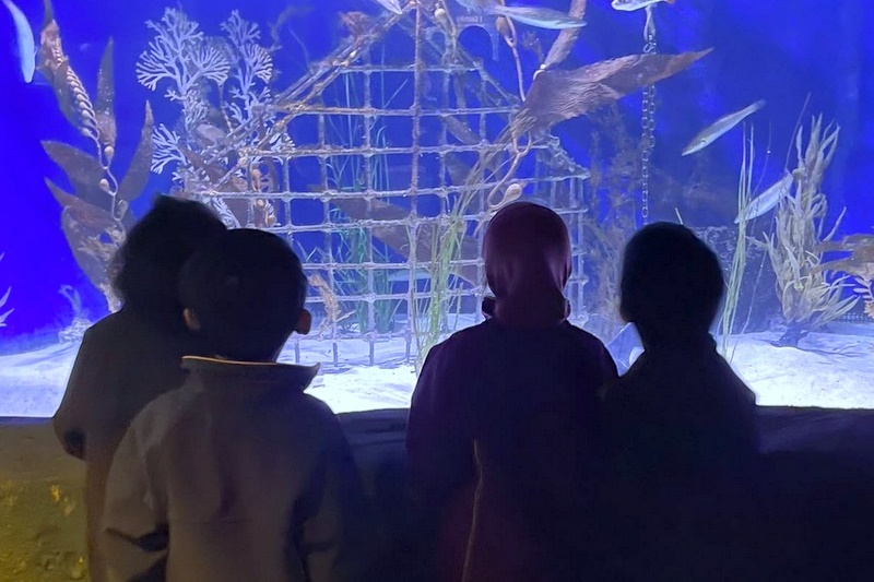 Foundation Islamic Studies Excursion: Sea Life