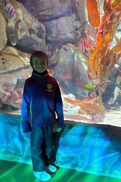 Foundation Islamic Studies Excursion: Sea Life