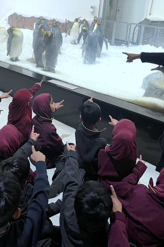 Foundation Islamic Studies Excursion: Sea Life