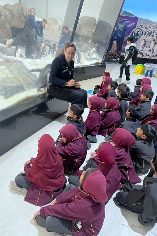 Foundation Islamic Studies Excursion: Sea Life