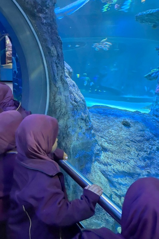 Foundation Islamic Studies Excursion: Sea Life