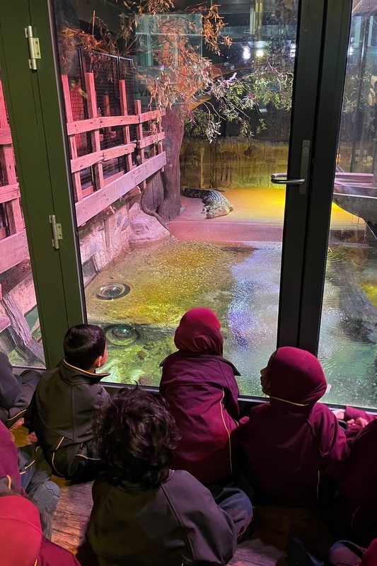 Foundation Islamic Studies Excursion: Sea Life