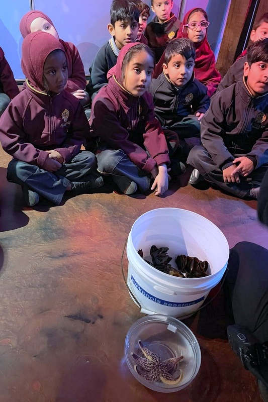 Foundation Islamic Studies Excursion: Sea Life