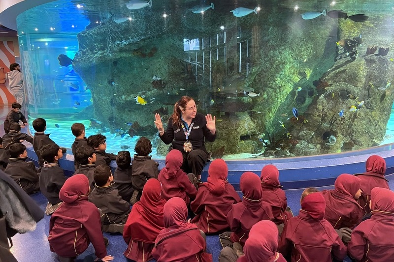 Foundation Islamic Studies Excursion: Sea Life