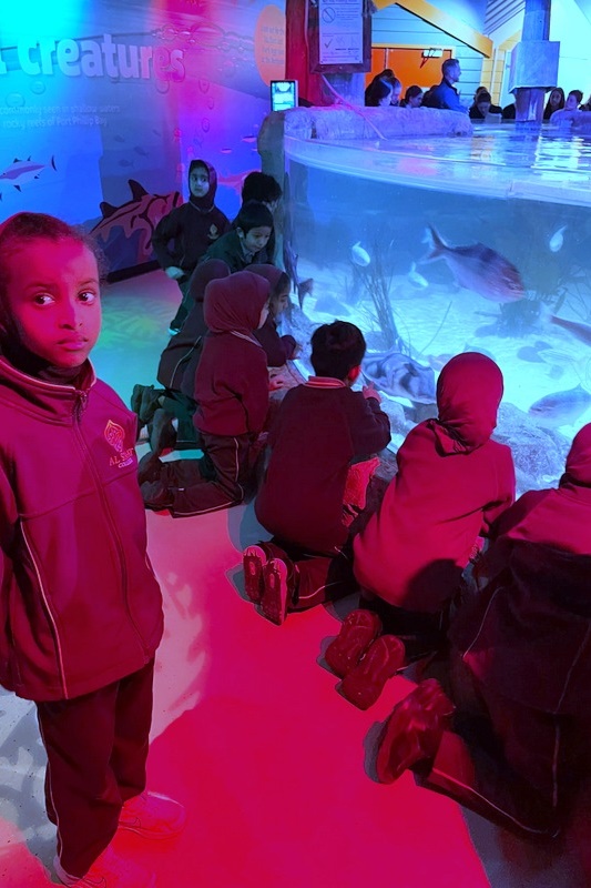 Foundation Islamic Studies Excursion: Sea Life