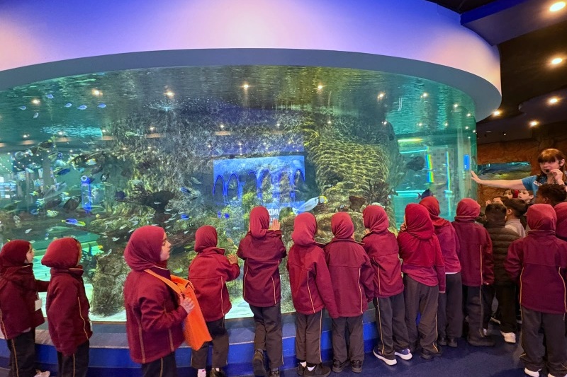 Foundation Islamic Studies Excursion: Sea Life