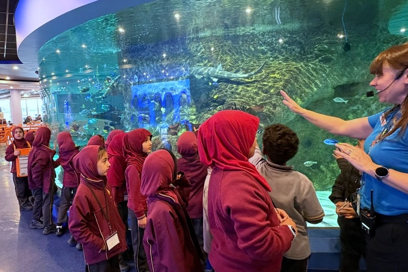 Foundation Islamic Studies Excursion: Sea Life