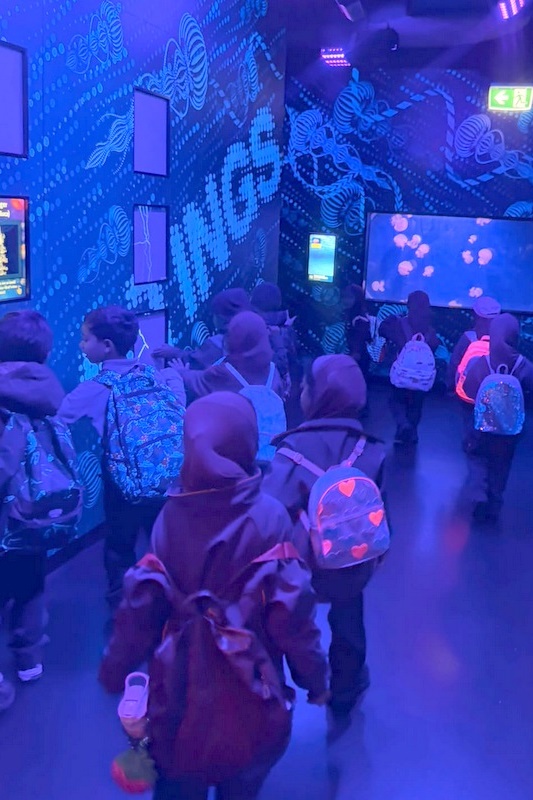 Foundation Islamic Studies Excursion: Sea Life