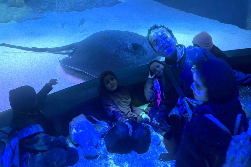 Foundation Islamic Studies Excursion: Sea Life