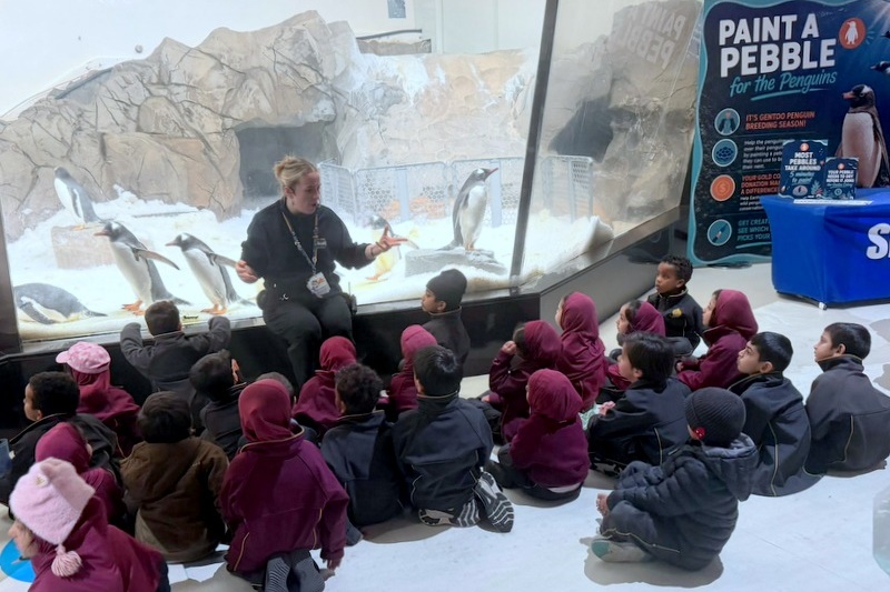 Foundation Islamic Studies Excursion: Sea Life