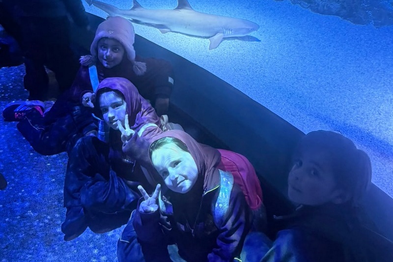 Foundation Islamic Studies Excursion: Sea Life