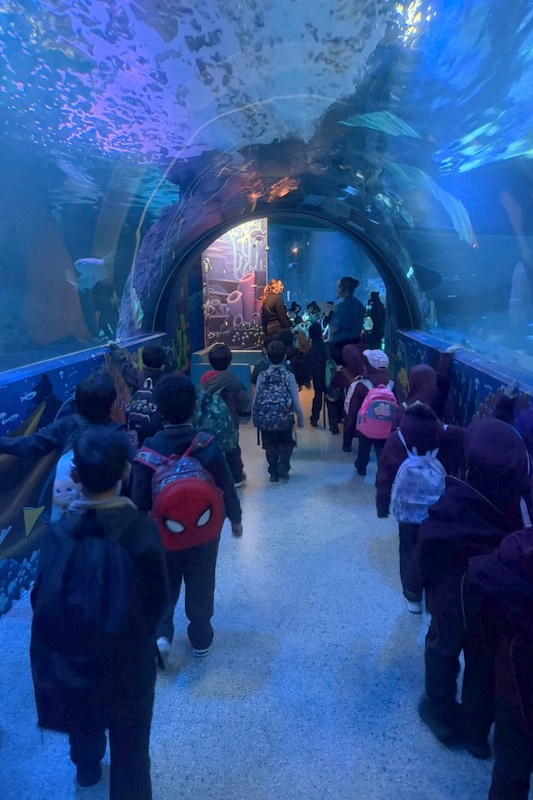 Foundation Islamic Studies Excursion: Sea Life