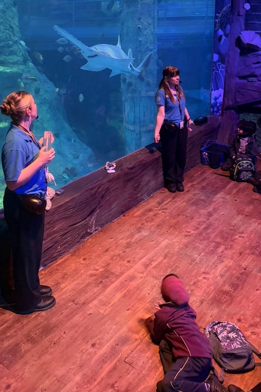 Foundation Islamic Studies Excursion: Sea Life