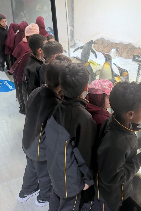 Foundation Islamic Studies Excursion: Sea Life