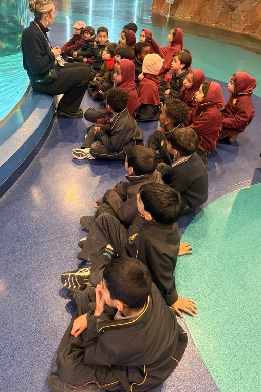 Foundation Islamic Studies Excursion: Sea Life