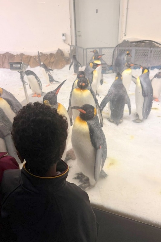 Foundation Islamic Studies Excursion: Sea Life
