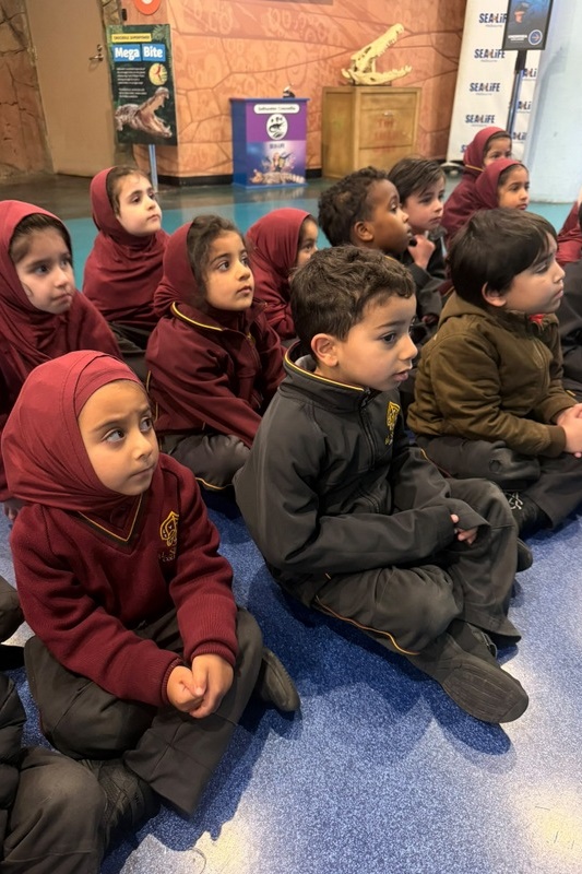 Foundation Islamic Studies Excursion: Sea Life